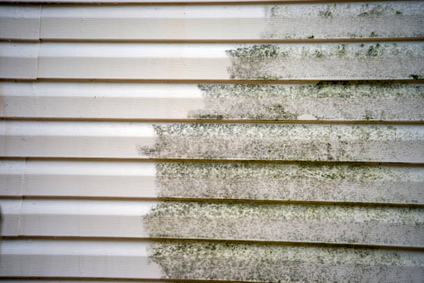 Same-Day Junk Removal Services in Bogalusa, LA